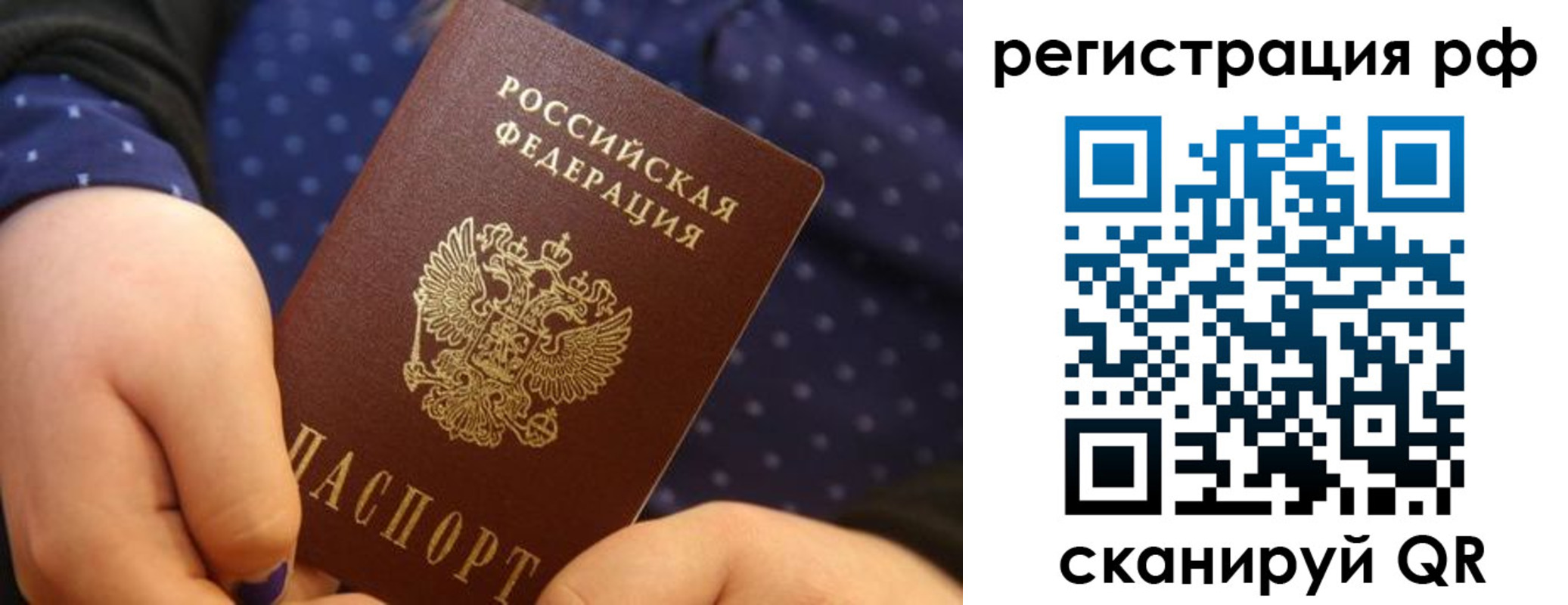 временная регистрация поиск в Щёлково